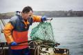 Pesca sostenible ODS