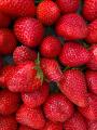 Fresas de Huelva